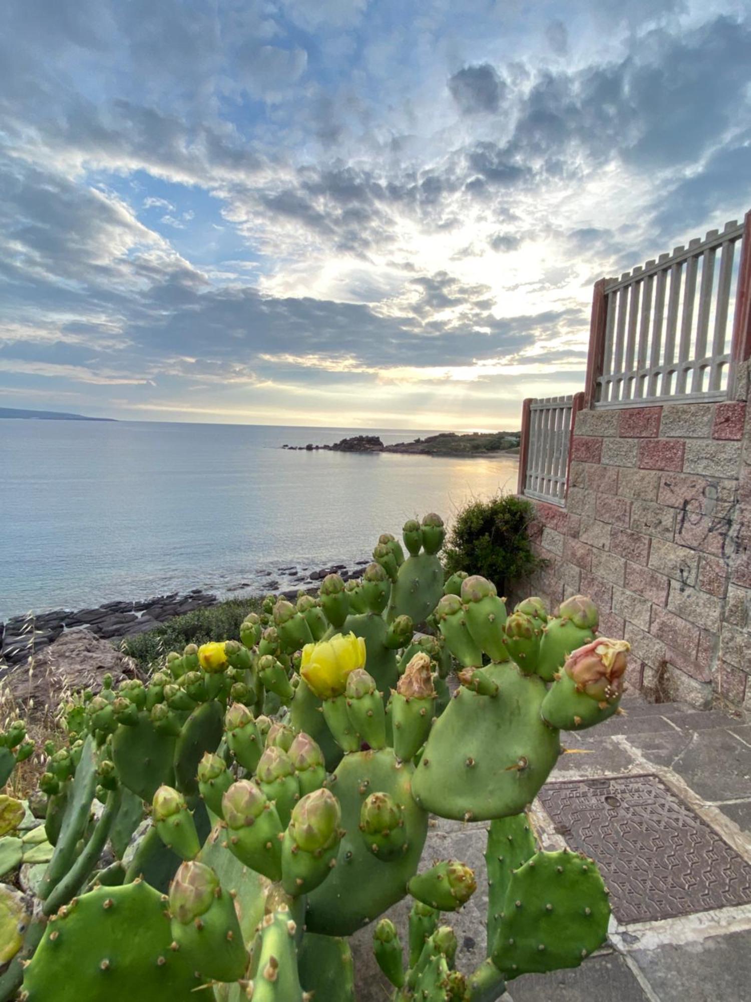 Bed and Breakfast Juniper Bay Портоскузо Экстерьер фото